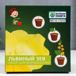 90694972 Набор для выращивания с глиняным горшочком Львиный зев STLM-0341627 SIMALAND