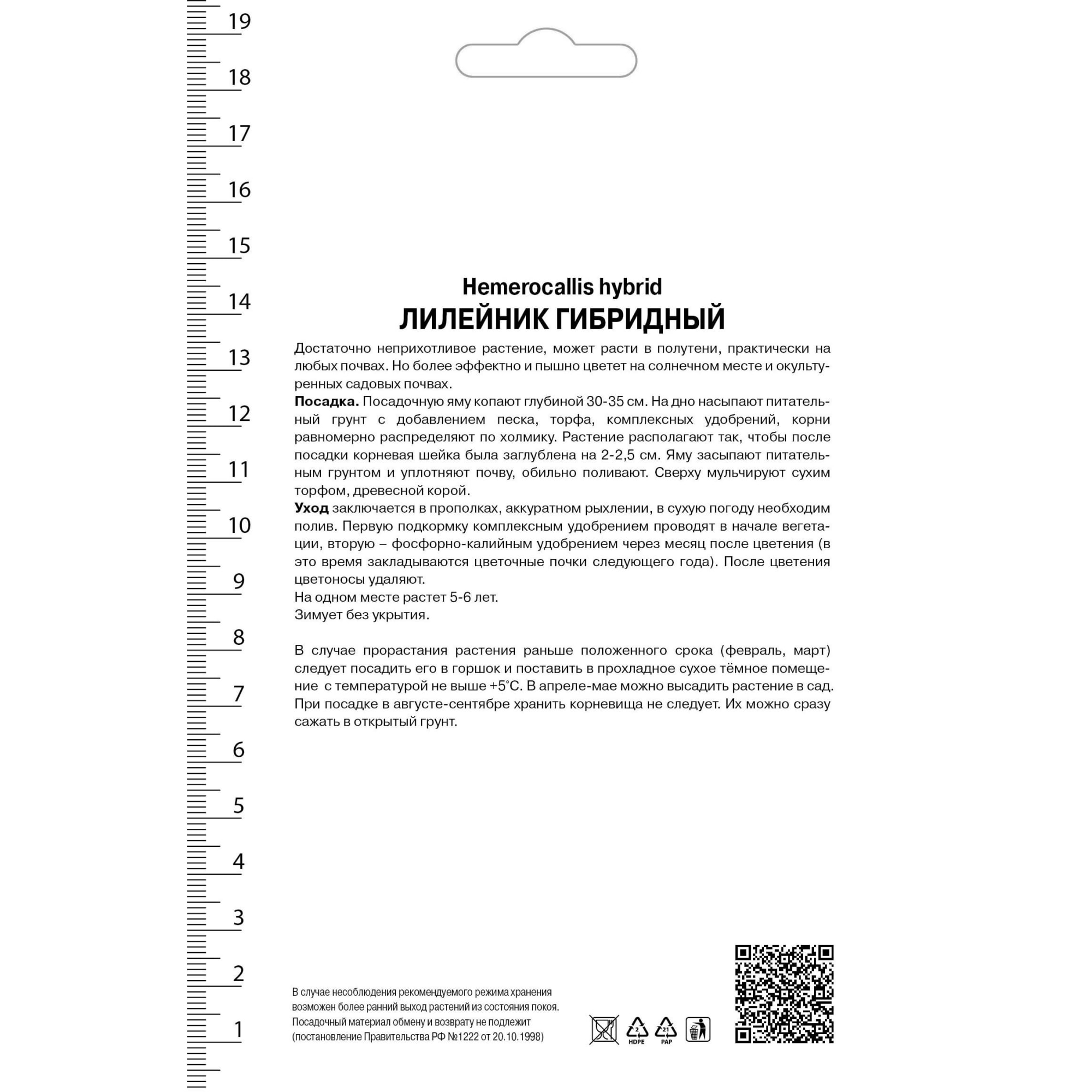 82530254 Лилейник гибридный «Росвита» Santreyd  - Вид №1