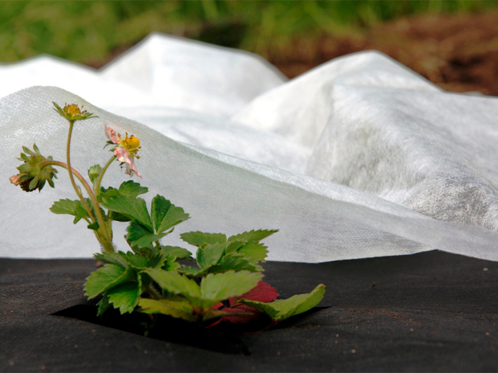 Спанбонд белый СУФ 60, 3,2*10 м ГеоПластБорд GPBST-119 - Вид №2