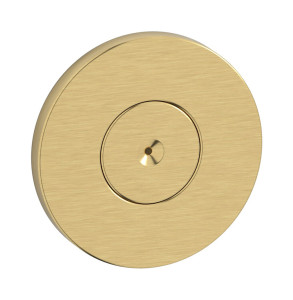 Боковая форсунка круглая с распылением WE ARE IB sh109rs_2 Brushed Gold RICAMBI