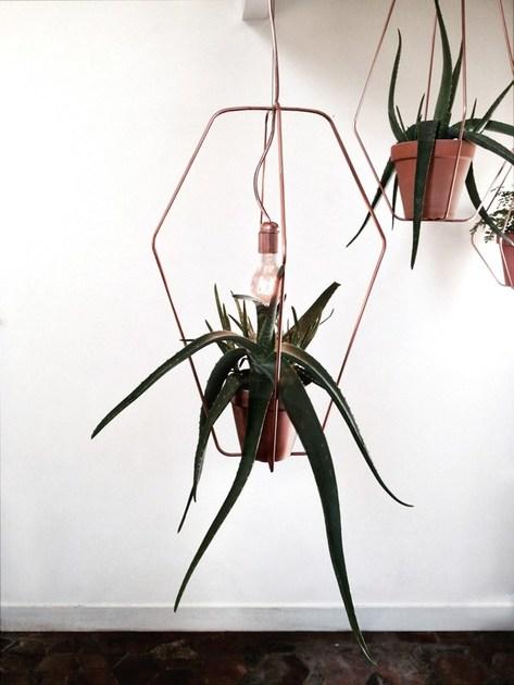 Compagnie Подвесной горшок sun-id-1383729 - Вид №4