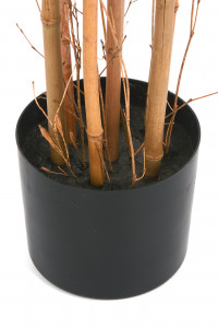 2000983223319 Бамбук высота 190 см GUDEE