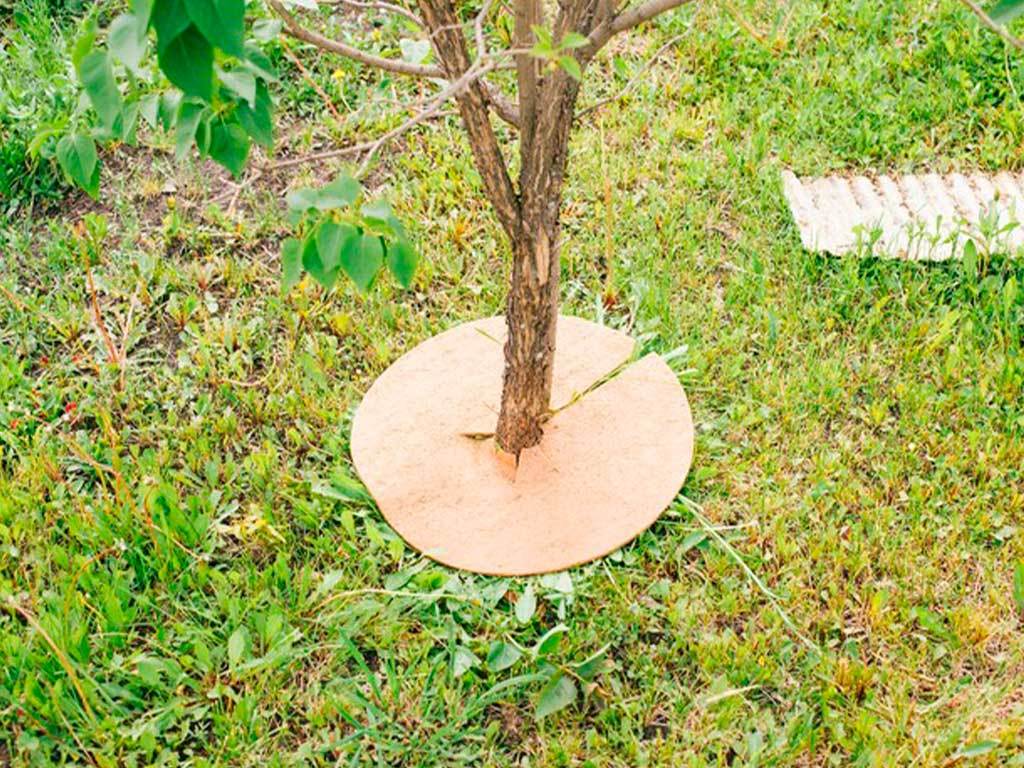 Круг приствольный Мульчаграм 40 см, комплект - 5шт ГеоПластБорд GPBST-248 - Вид №10