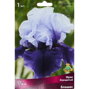 Ирис бородатый Блашес 85204789 STLM-2108390