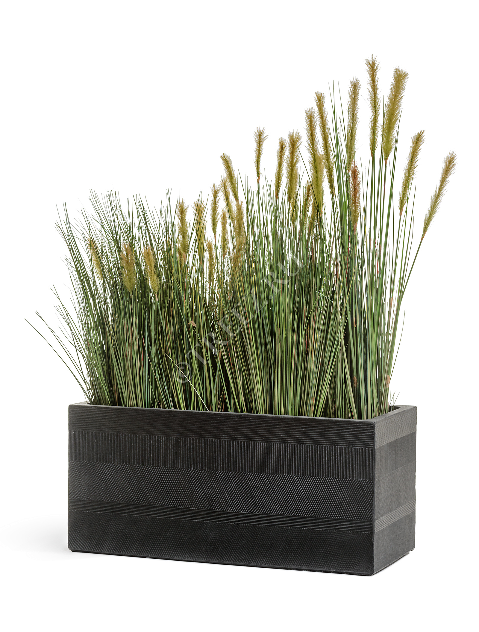 41.1019-0025-BLW-50 Кашпо  ERGO - серия Graphics - Низкий прямоугольник - Чёрный графит Цветочная коллекция  - Вид №5