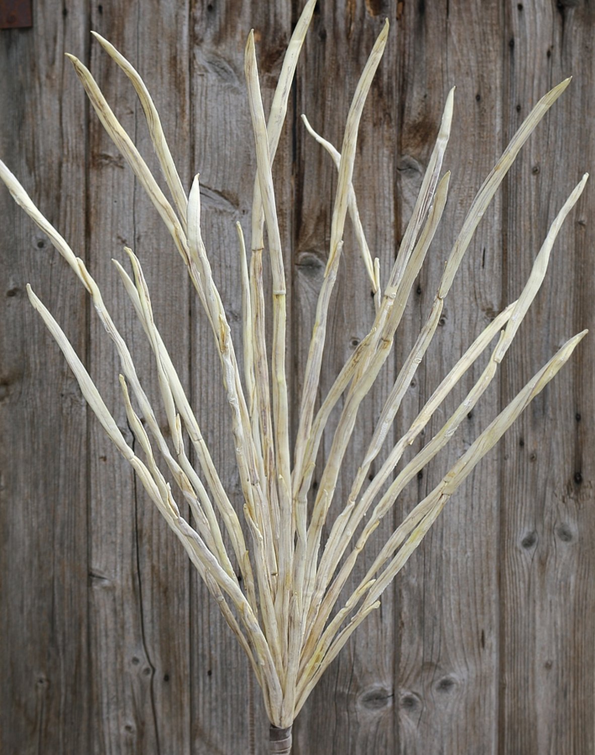 7892 976 a3 Шелковый мягкий цветок 'Ветка травы', 120 см, серый H-andreas 