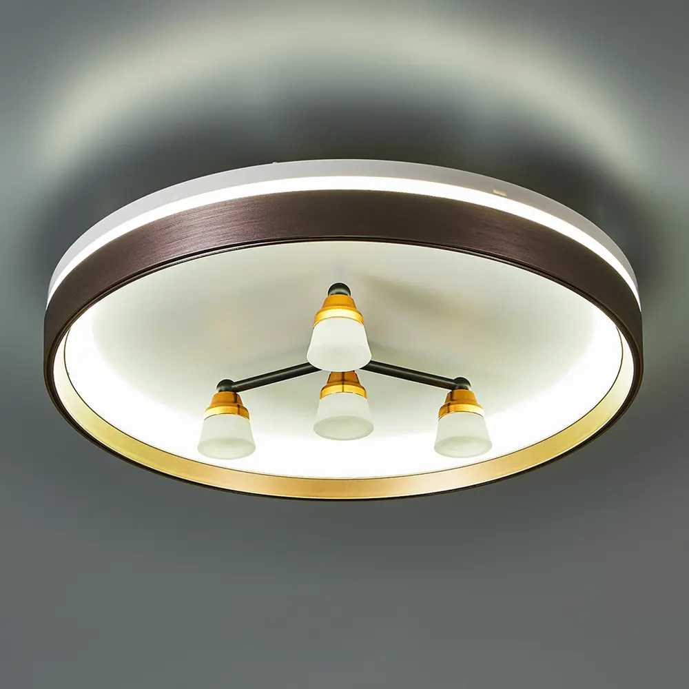 Люстра De City Норден с пультом управления - современное светодиодное освещение 89379449 STLM-1347951 - Вид №1