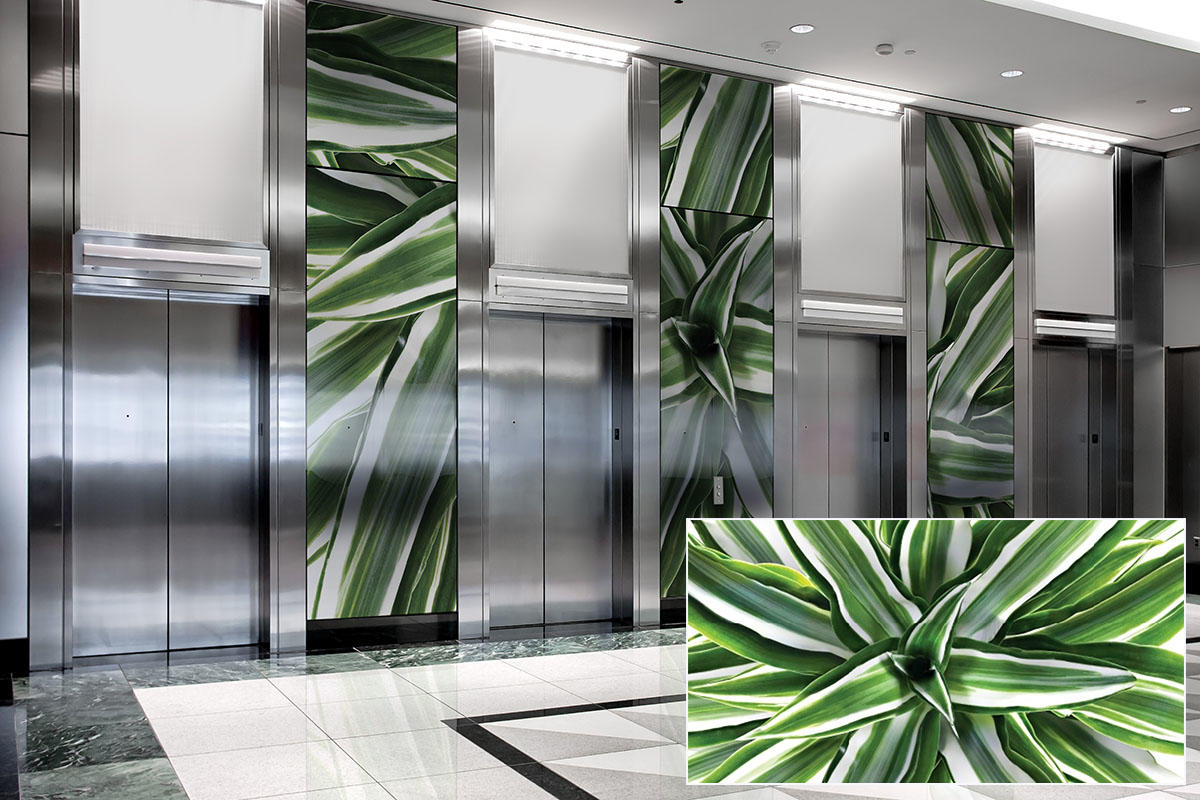 FSRT388 Стекло Vivspectra Zoom с прослойкой из драконьей травы  Forms-surfaces  - Вид №16