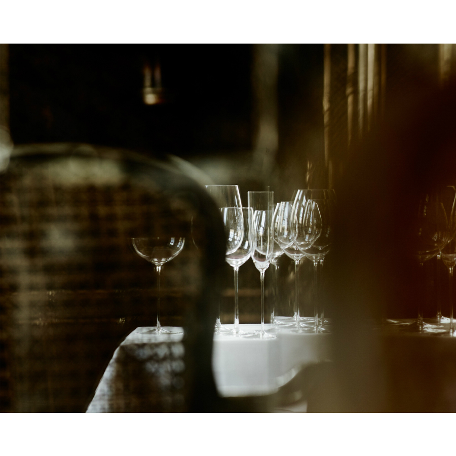 Фужер Sommeliers Superleggero Viognier/Chardonnay, 245 мл, бессвинцовый хрусталь Riedel 442505 - Вид №1