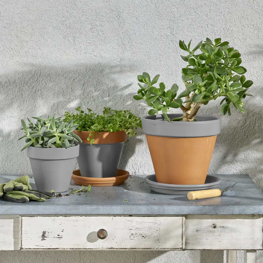 Аэрозольная эмаль Luxens темно-серый сатинированный 520 мл 83237412 STLM-0039765 - Вид №5