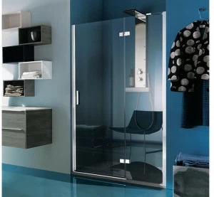 Samo Душевая ниша прямоугольная с распашной дверцей Eccelsa