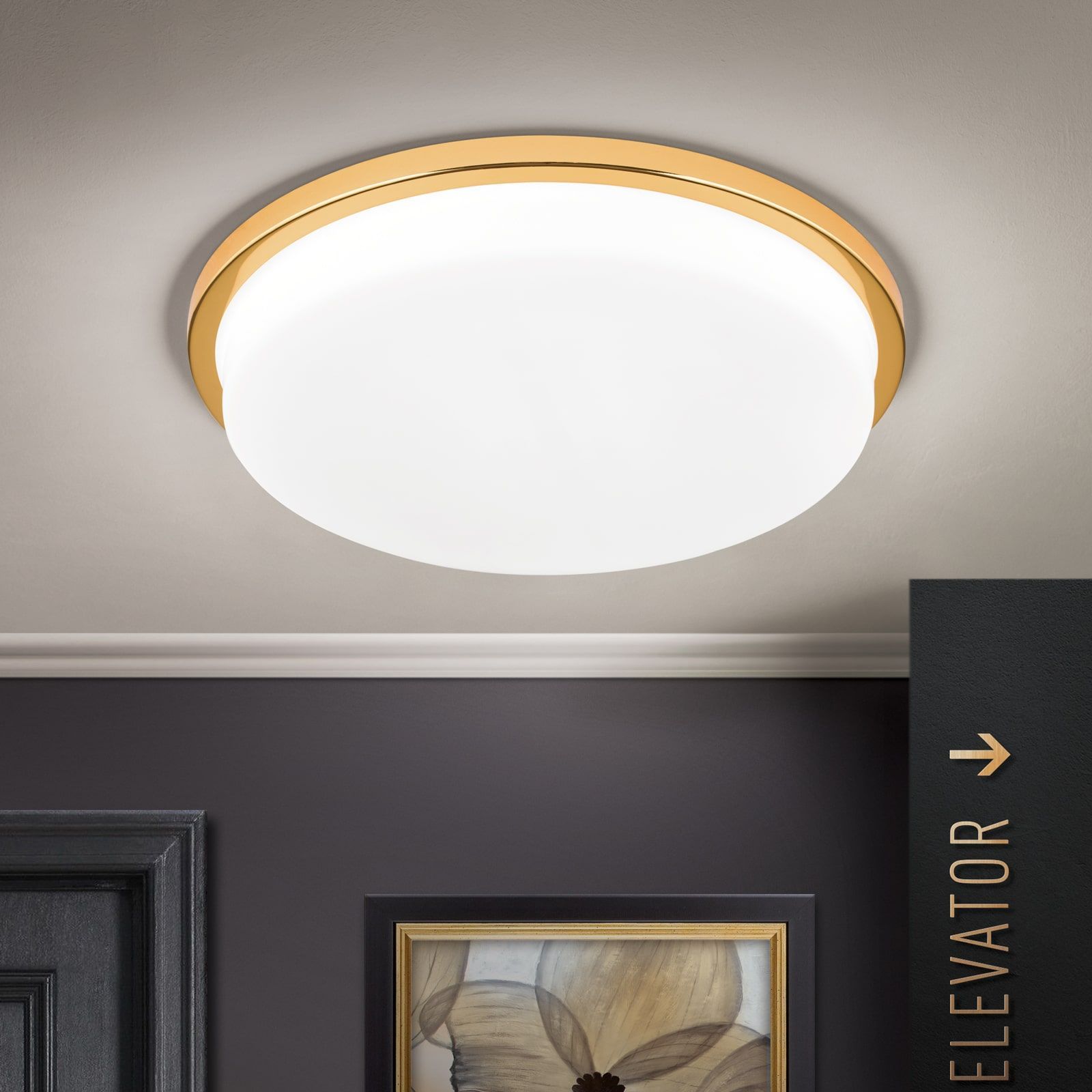 Стеклянный светодиодный потолочный светильник Orion Lerox ARCH-00076009 - Вид №84