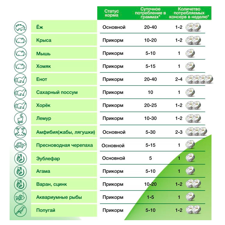 ПР0058877 Мучной червь консервированный , 40 г ONTO  - Вид №1