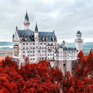 C1-085 Фотообои DIVINO Collection C 2.7х3 м