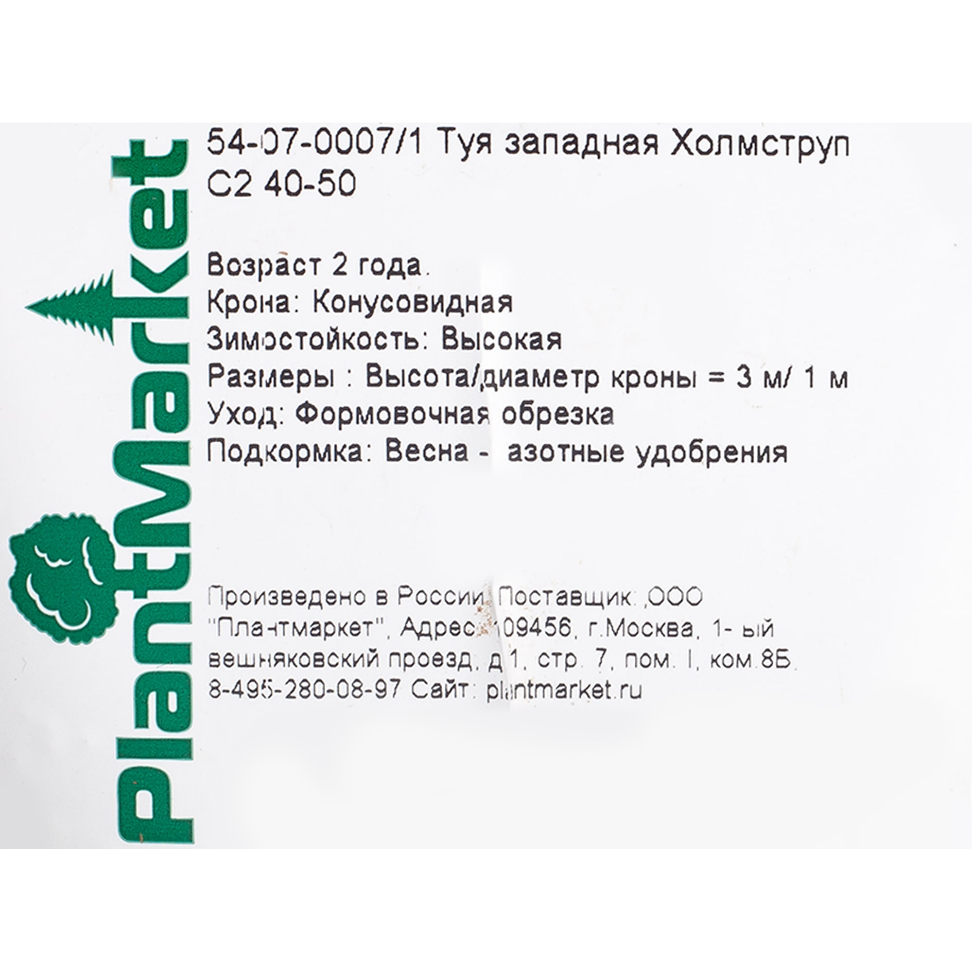 18470051 Туя западная Холмструп», С2/40-50 см Santreyd  - Вид №1