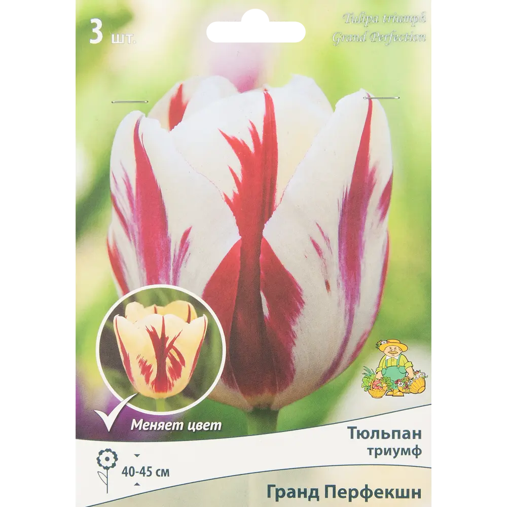 Тюльпан Гранд Перфекшн ПОИСК - луковицы для изысканного сада 85205529 STLM-1577064