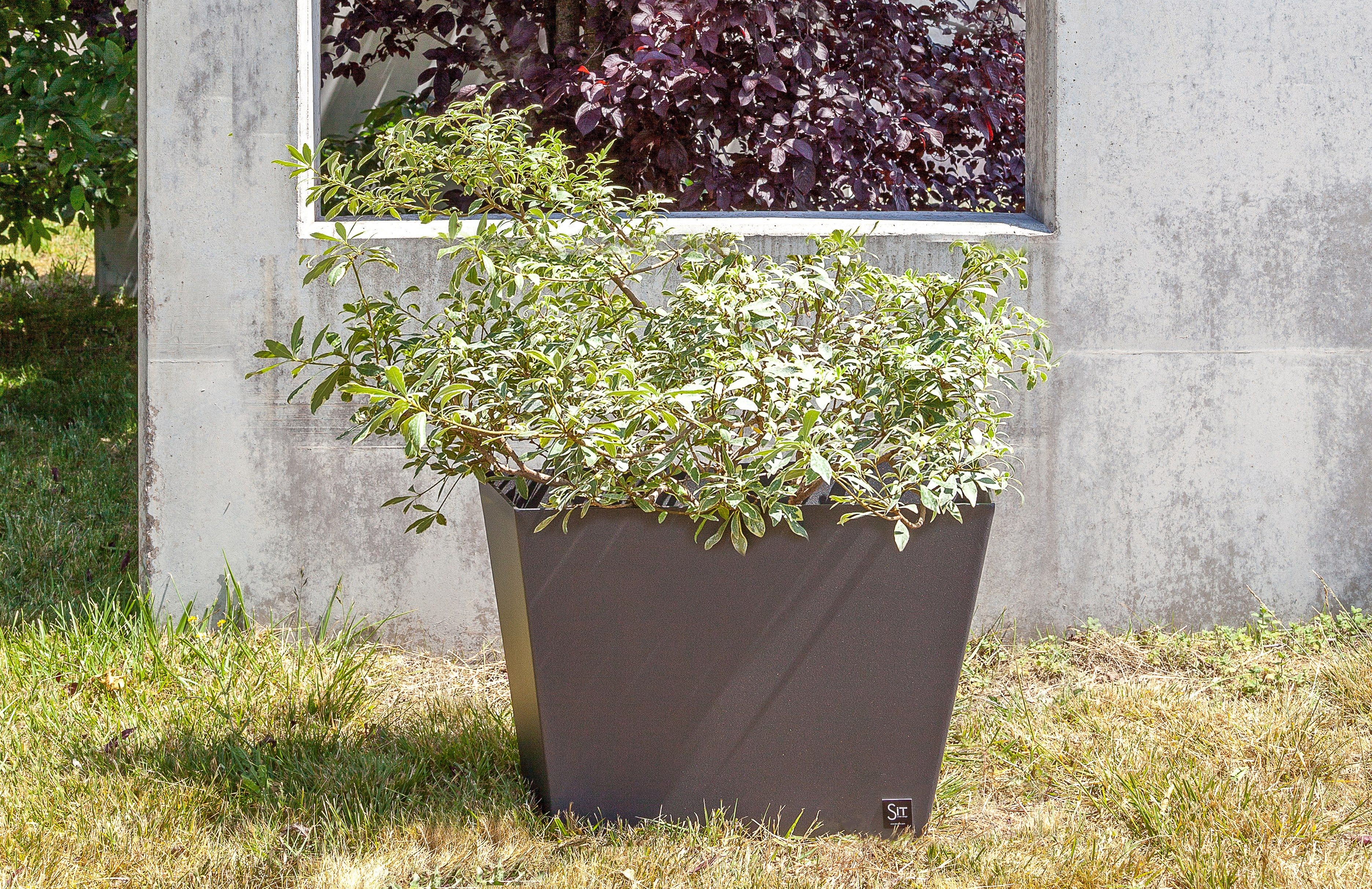 Железная плантатор SIT Skew ARCH-00139665 - Вид №2