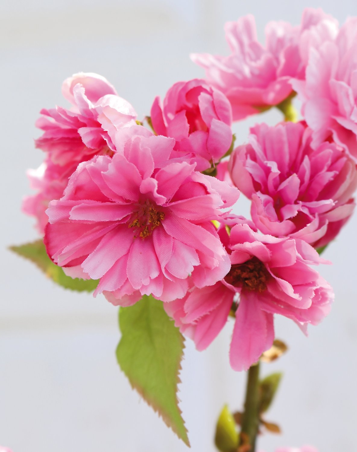 3087 515 a3 Ветка сакуры, 76 см, розовая H-andreas  - Вид №1