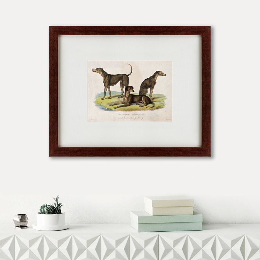 Литография на тонированной бумаге 42х52 см Three African bloodhounds, 1830 КАРТИНЫ В КВАРТИРУ  135644 Бежевый;белый;черный;разноцветный  - Вид №1