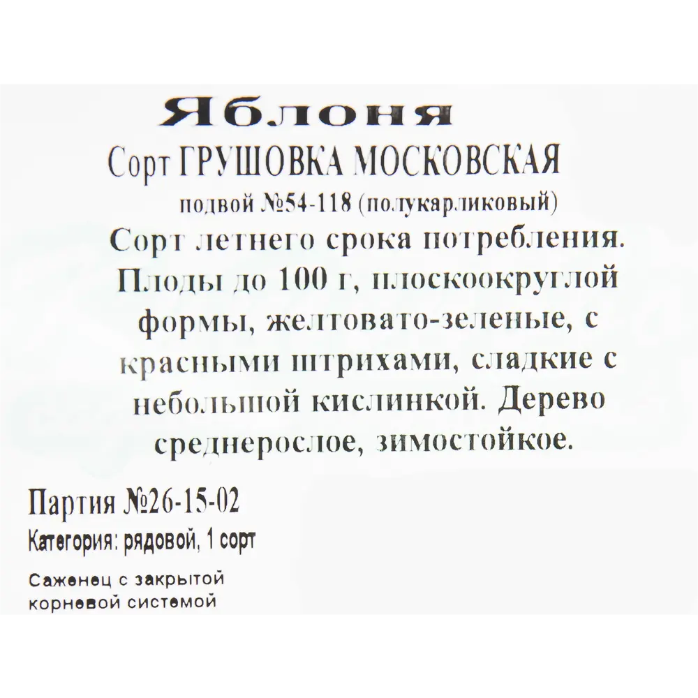 Яблоня «Грушовка Московская» C4 высота 140 см 82597153 STLM-2002804 Santreyd  - Вид №1