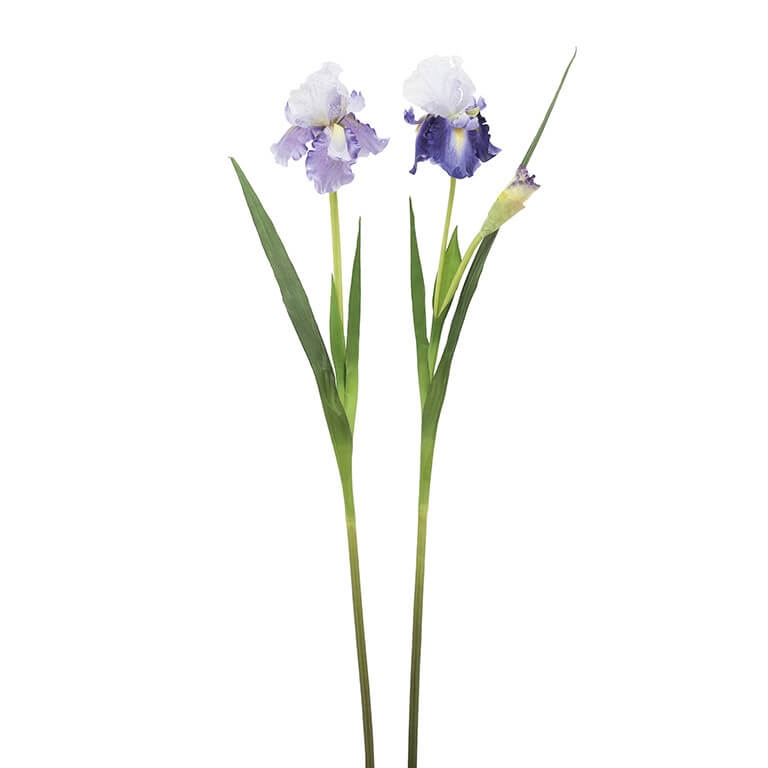 210316-60 ABHIKA ИРИС СПРЕЙ ST2PCS ASS PURPLE 