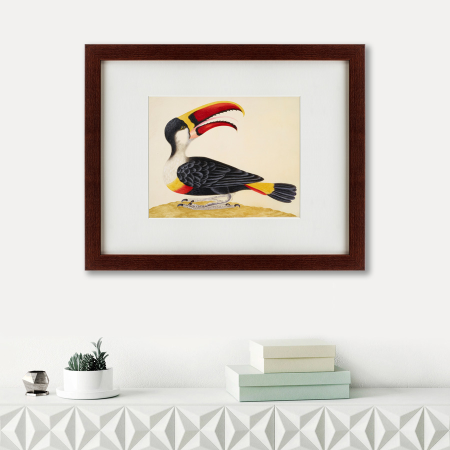 Картина: White-Throated Toucan, 1716 КАРТИНЫ В КВАРТИРУ  135727 Разноцветный  - Вид №1