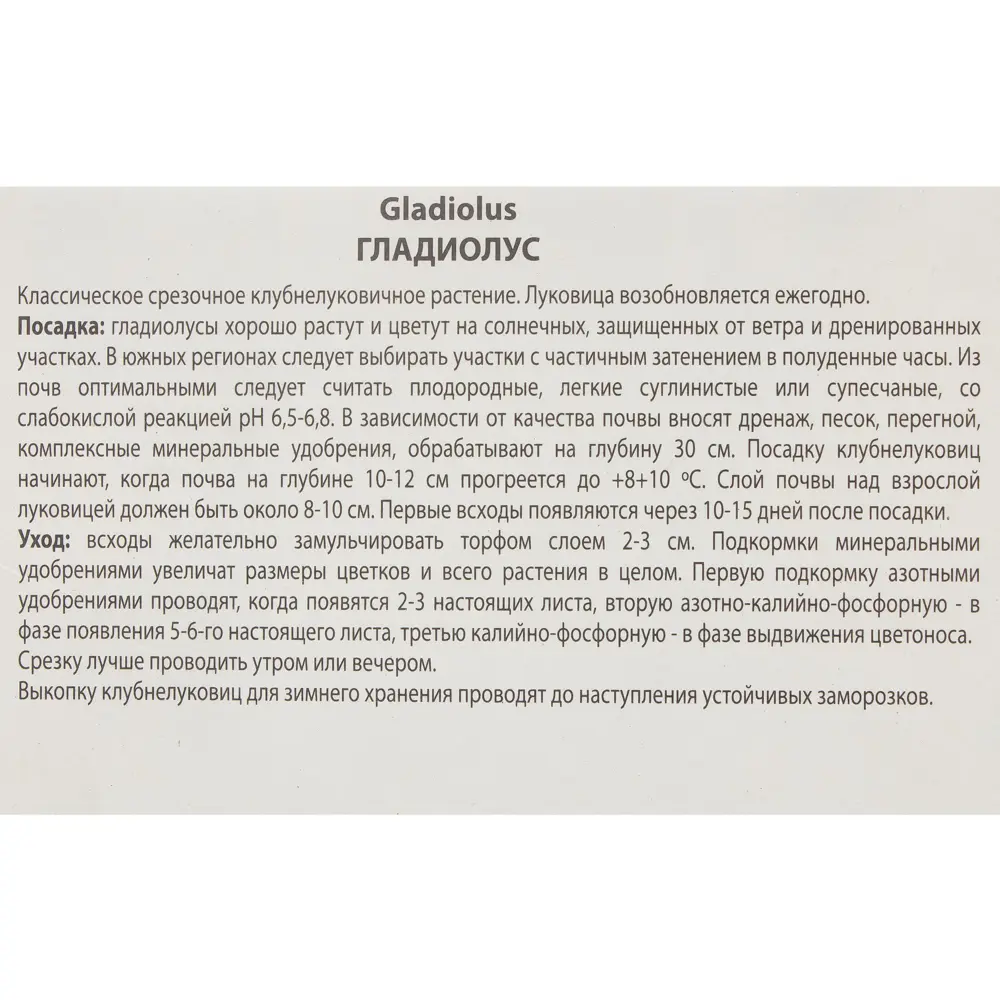 Гладиолус крупноцветковой «Вайт Просперити» 81945437 STLM-2123011 ПОИСК  - Вид №2