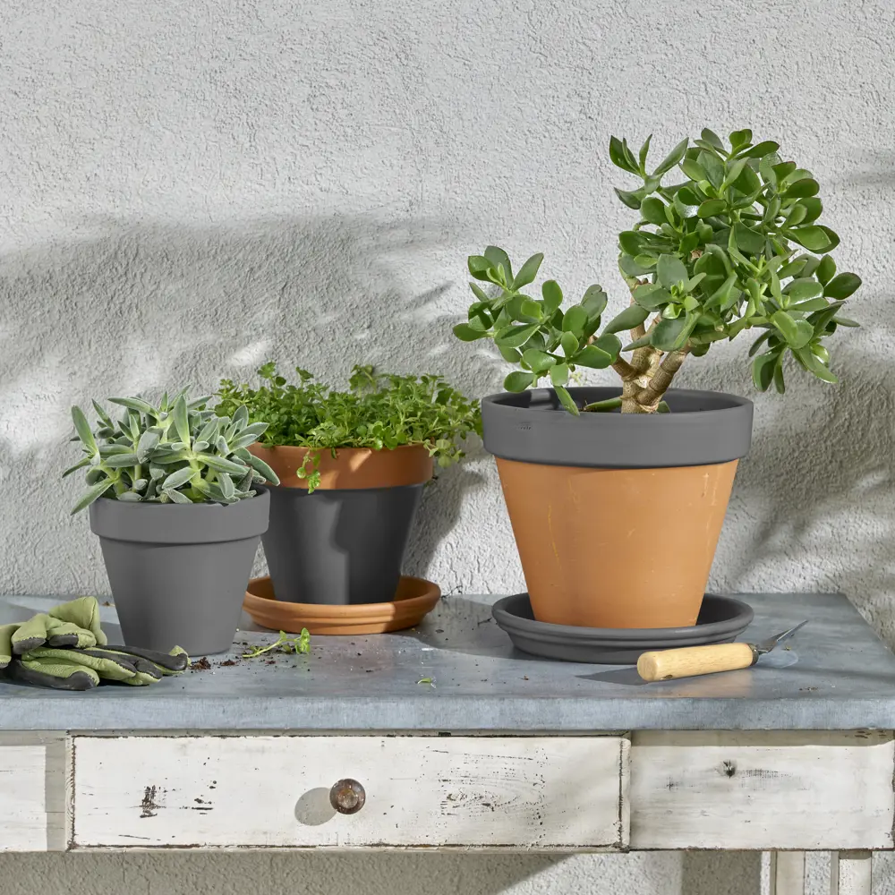 Аэрозольная эмаль Luxens серый полуматовый 520 мл 83237414 STLM-0039767 - Вид №5