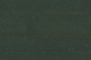 633 111 612 Окрашенный пробковый пол Forest GRANORTE Recolour