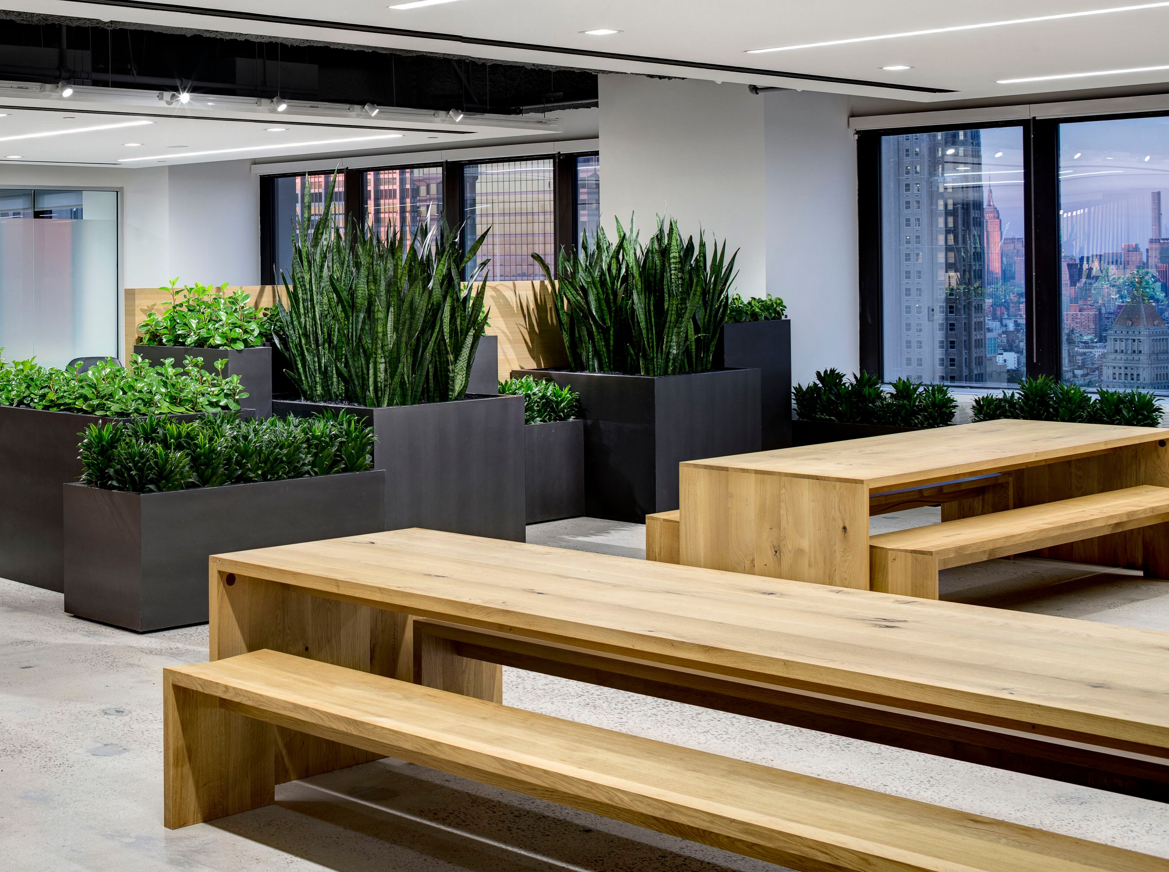 Твердый деревянный стол / стол e15 PONTE ARCH-00060004 - Вид №8