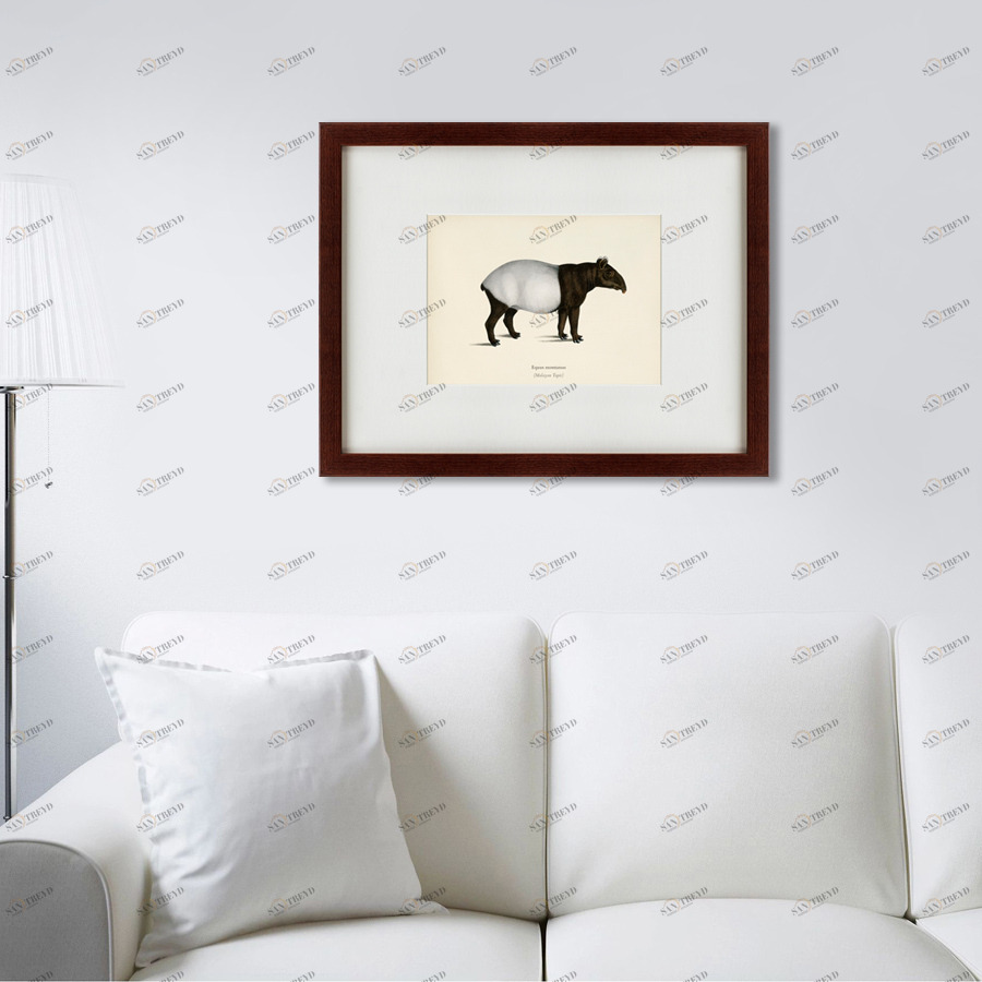 Картина тапир: Malayan Tapir, 1872 КАРТИНЫ В КВАРТИРУ  191745 Белый;коричневый 