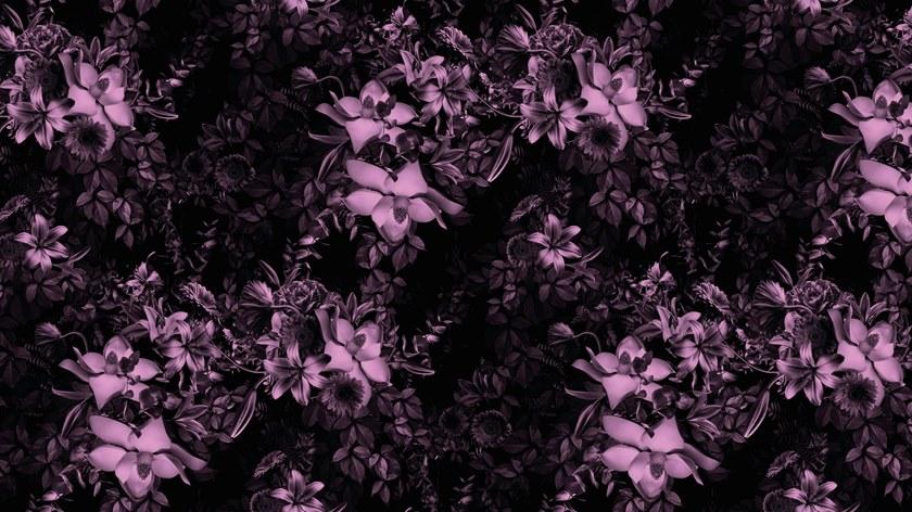 Baboon Цветочные обои для ванной Pattern sun-id-1406475 - Вид №4