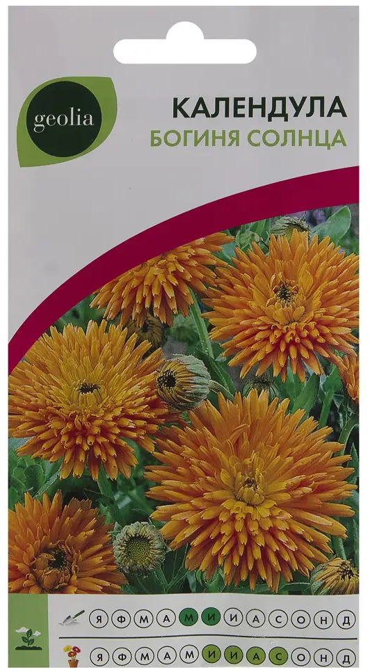 Календула GEOLIA Богиня Солнца - солнечный акцент вашего сада 17585586