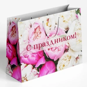 89353925 Пакет подарочный «С праздником» 30x40 см цвет разноцветный STLM-0834201