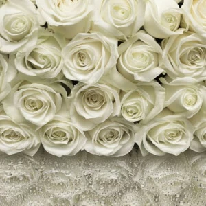 8-314-A-la-Rose Фотообои Komar Vol.15 2.54х3.68 м