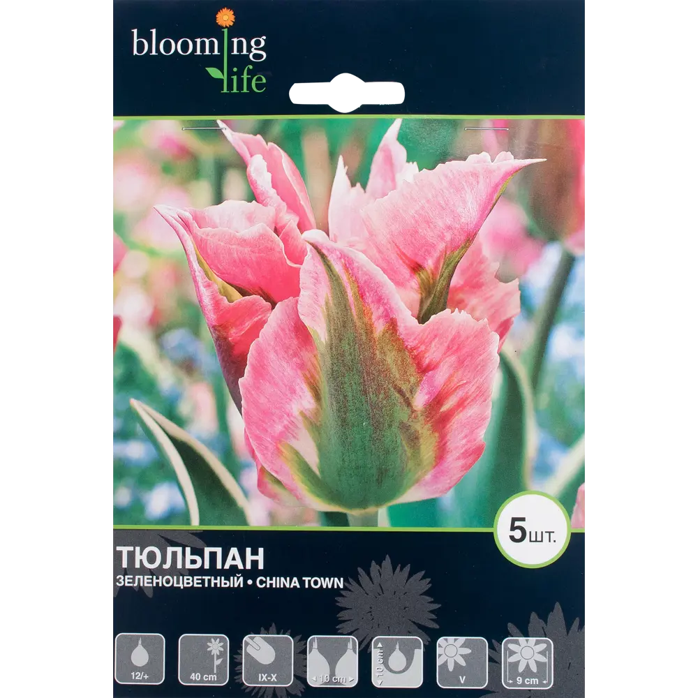 Тюльпан зелёноцветный «Чайна Таун» 82351156 STLM-2137318 Santreyd 