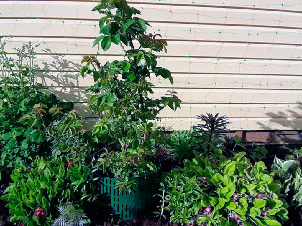 Защитно-декоративное ограждение, цвет зелёный 4 шт ГеоПластБорд GPBST-185 - Вид №5