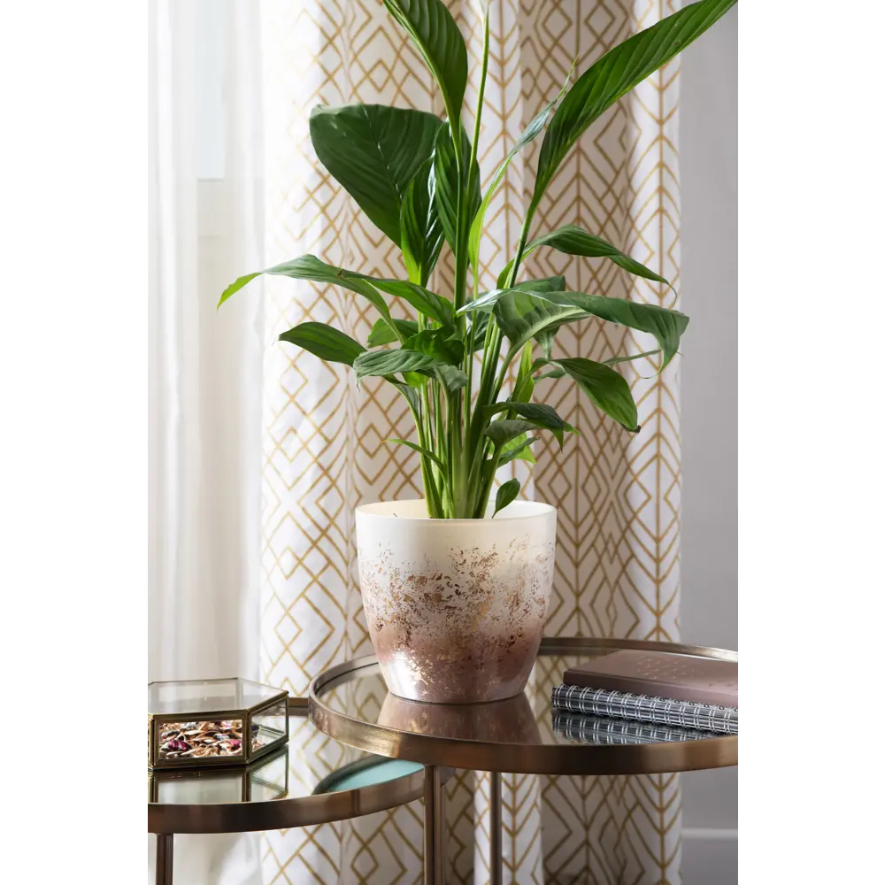 Горшок цветочный для орхидей Nina Glass Современный ø15.8 v2 л стекло бежевый/золотой Современный 2 STLM-2123148 - Вид №4