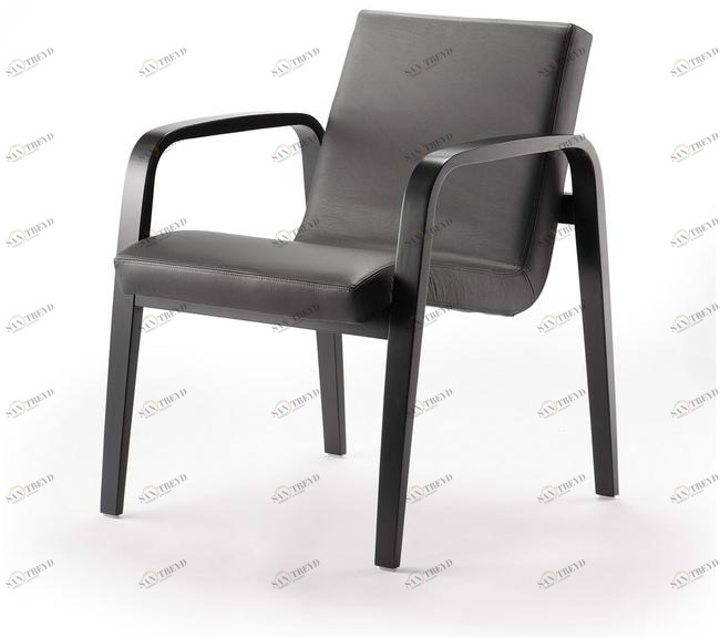 rosconi Мягкое кожаное кресло с подлокотниками Krischanitz bentwood sun-id-1406674