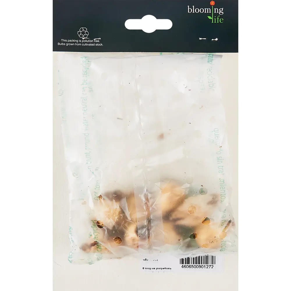 Мускари Альбум луковицы, 8 шт. - белые весенние цветы 88757587 Santreyd STLM-1580179 - Вид №1