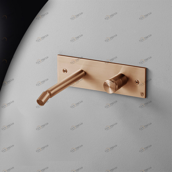 Смеситель для биде настенный HIRO HIR19R розовое золото Radomonte