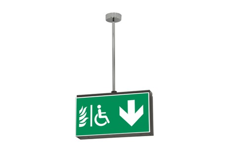 DST-1008 Lisu suspended Daisalux Светильники аварийные Металлический Серый 