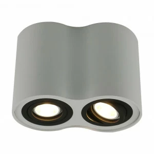 Потолочный светильник Arte Lamp A5644PL-2WH ARTE LAMP 5644 201308 Белый