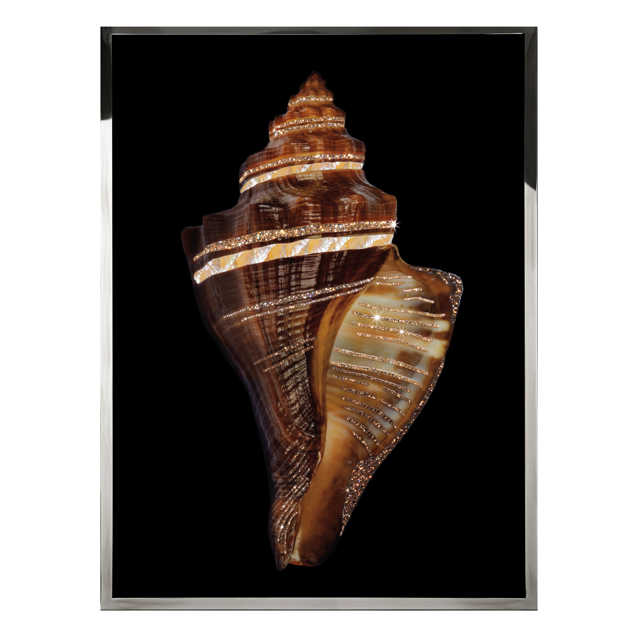 Pugilina Смешанная техника Visionnaire  - Вид №1