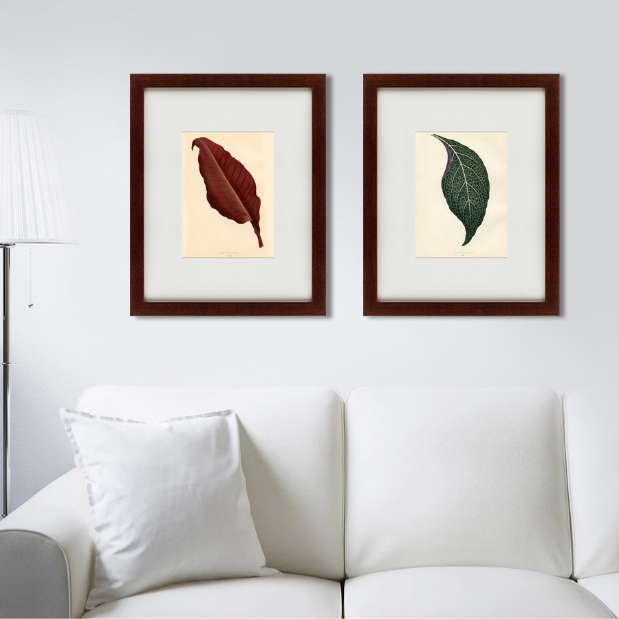 Картина в раме 52х42 см The dark red leaf, 1881 КАРТИНЫ В КВАРТИРУ  135660 Коричневый;красный  - Вид №2