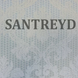 79523 Обои Rasch Selected