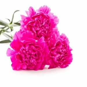 WP02559 Фотообои Verol Фотообои decoline 1х1 м