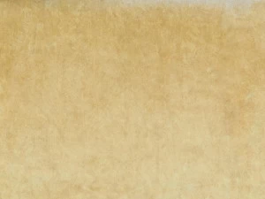 COLORISTICA 2331-325 Портьерная ткань  Бархат  Fluid