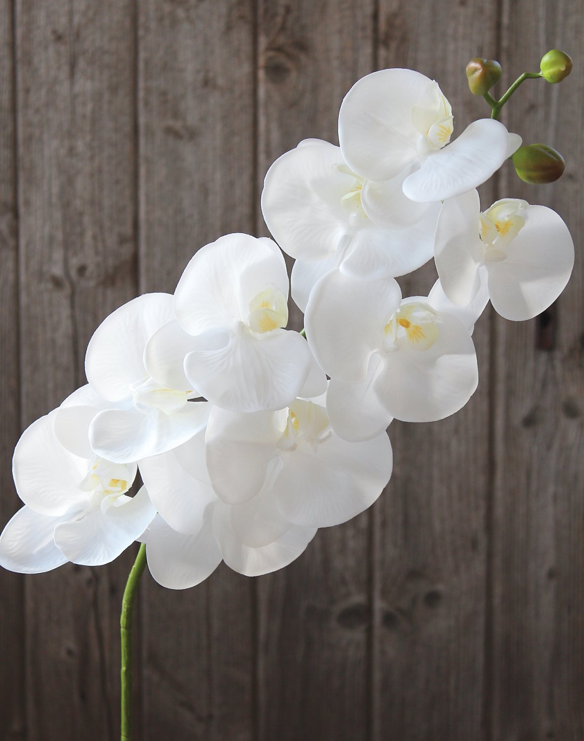 2800 777 a3 Искусственная орхидея Phalaenopsis, 98 см, real touch soft, белая H-andreas  - Вид №1