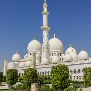 C1-196 Фотообои DIVINO Collection C 2.7х2 м